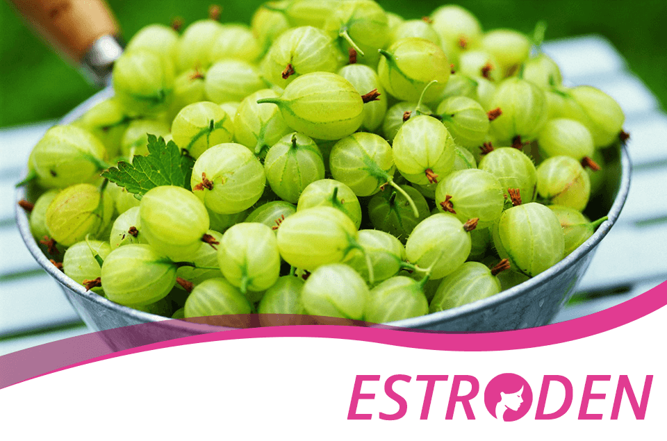 Health Benefits of Gooseberries Estroden