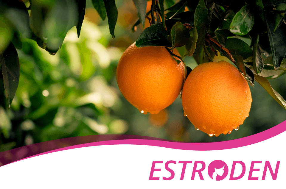 Using Satsuma Mandarin for Health in Beneficial Ways Estroden