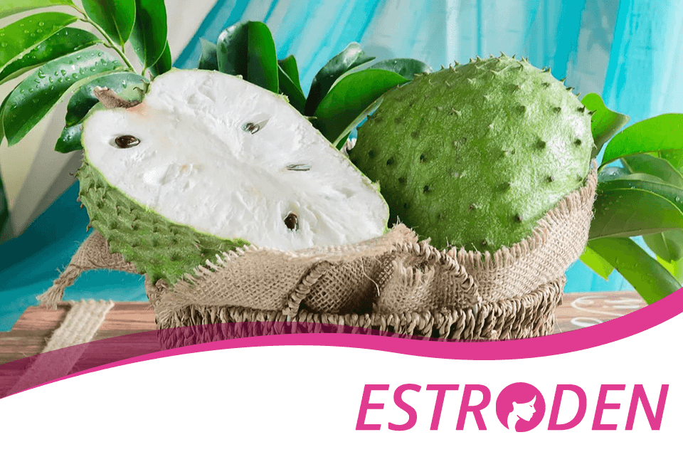 Benefits of Guyabano for Health Estroden