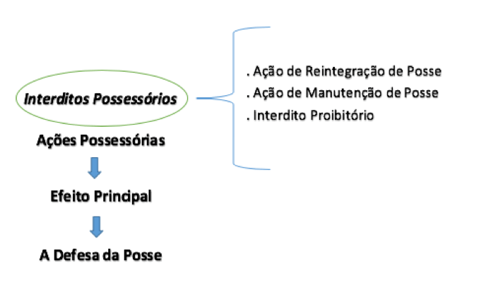 Diferenças entre AÇÕES POSSESSÓRIAS e PETITÓRIAS Estudo