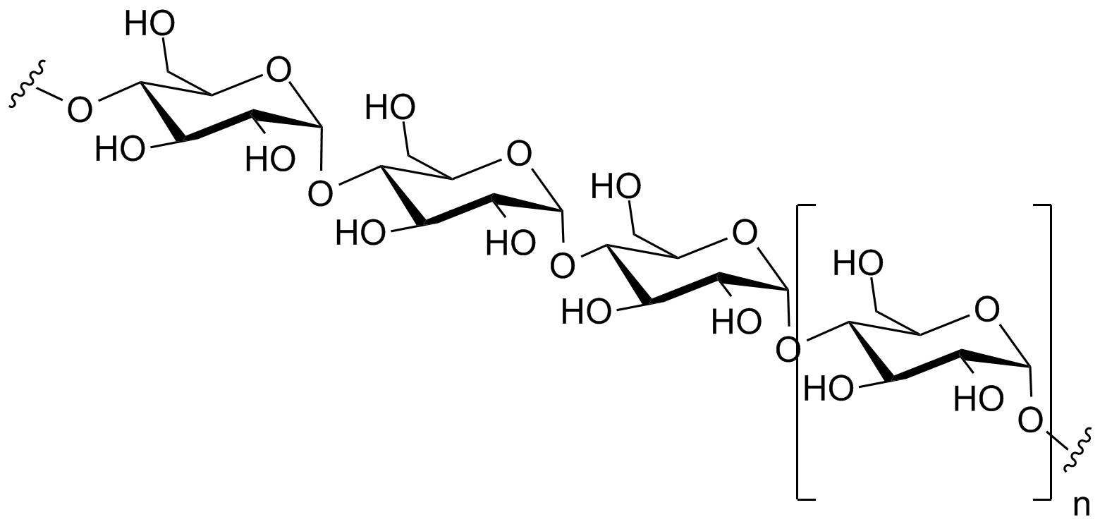 Polisacárido Definición y ejemplos Estudyando