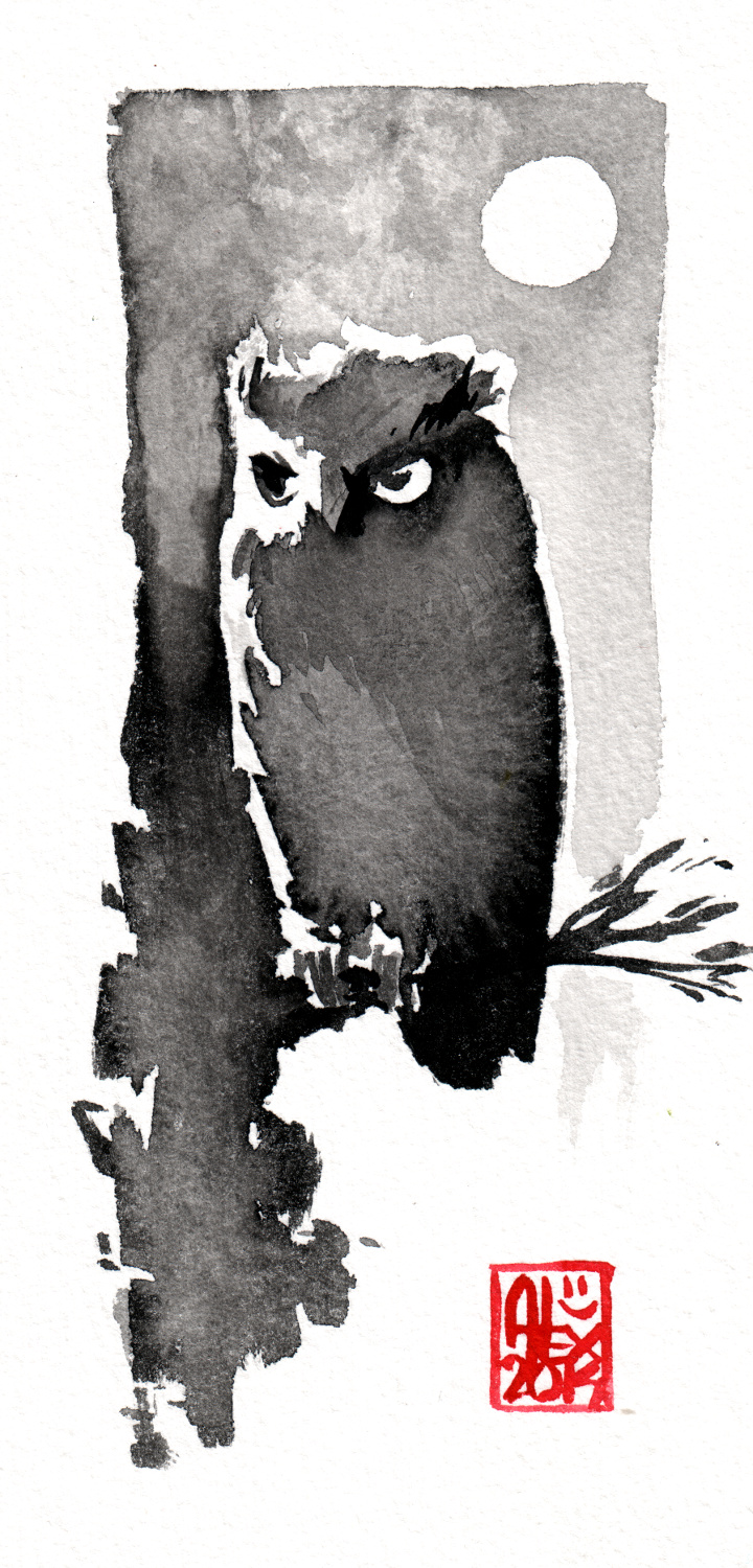 Dessin Oiseaux Images Dernier D