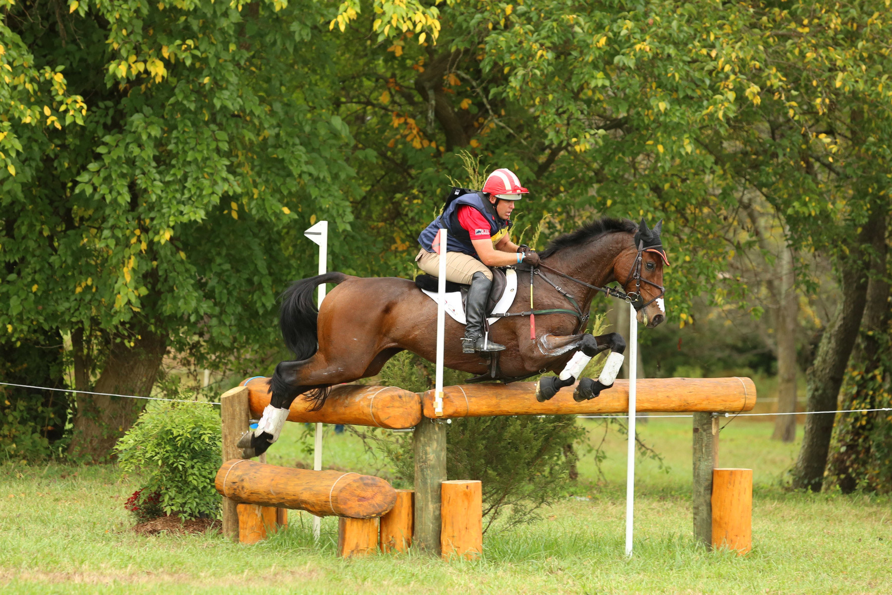 Images Of Horses Jumping