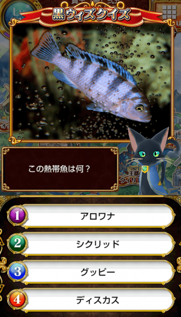 この熱帯魚は何？ いろいろメモ