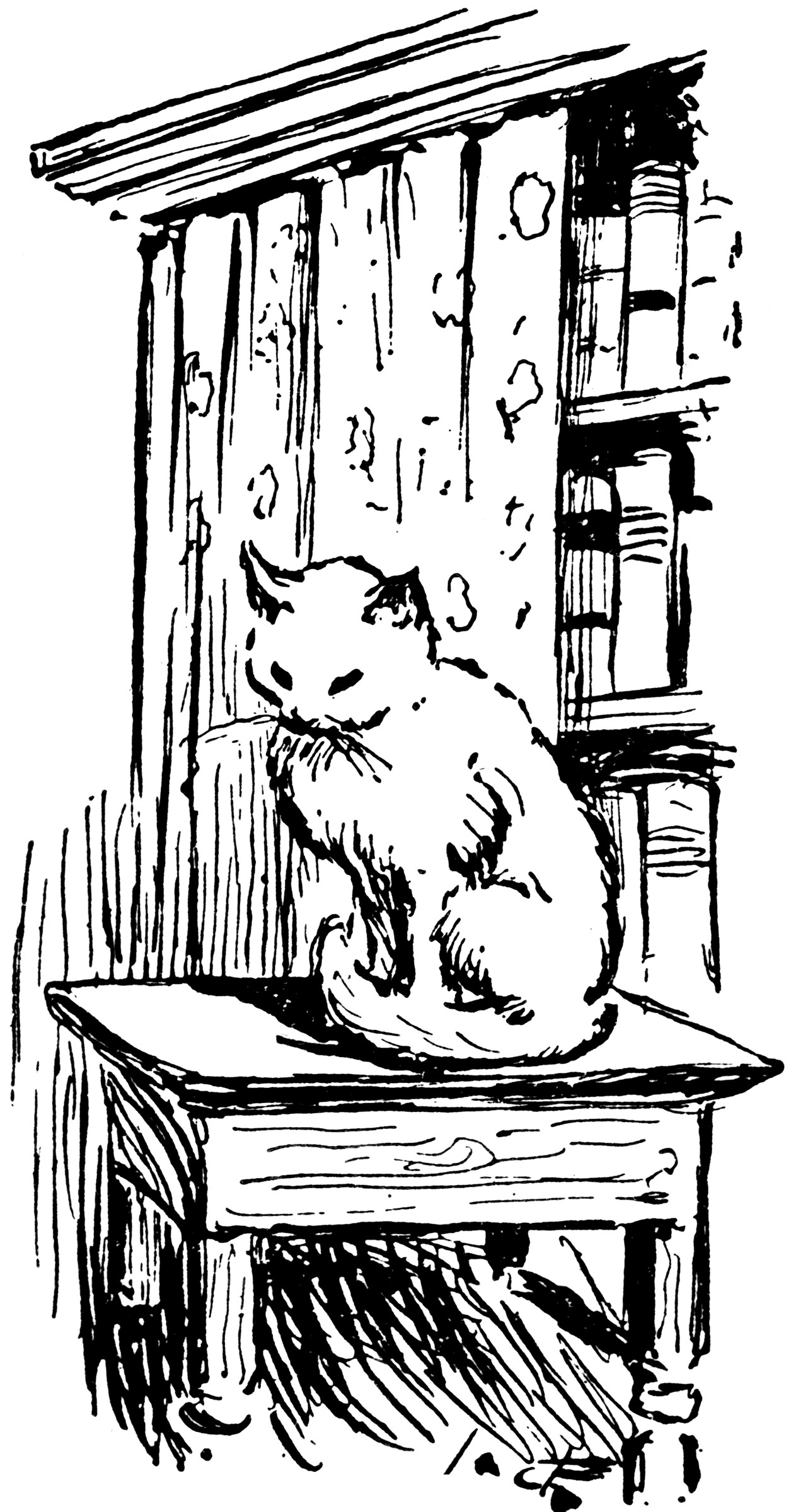 Cat ClipArt ETC