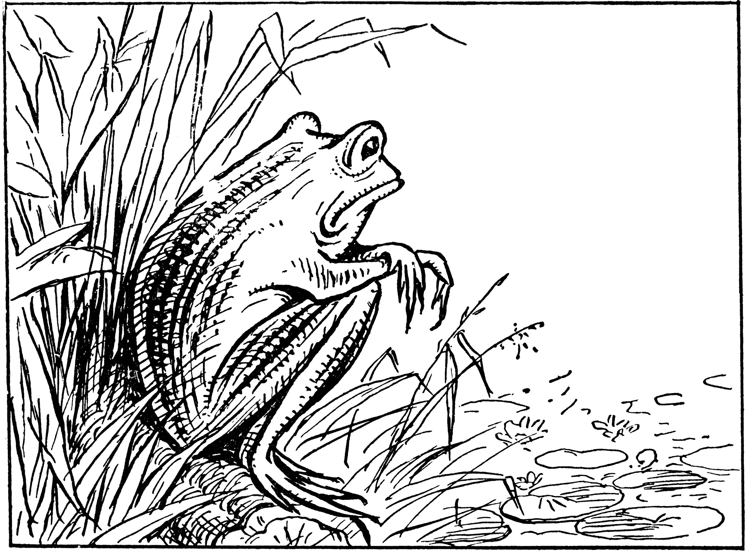 Frog Sitting on Bank Looking at Pond ClipArt ETC