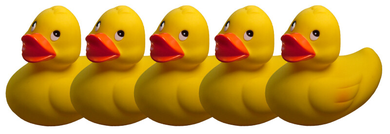 Ducks in a Row ClipPix ETC Educational Photos for Students and Teachers