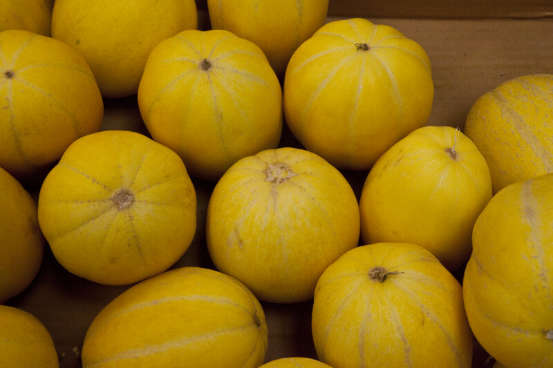 Korean Melon ClipPix ETC Educational Photos for