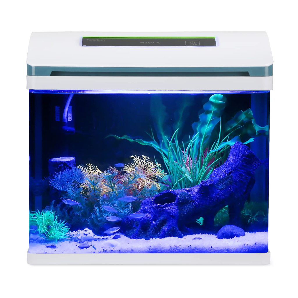 Best Tank for Betta Fish Top 8 Picks for 2023! EtcPets