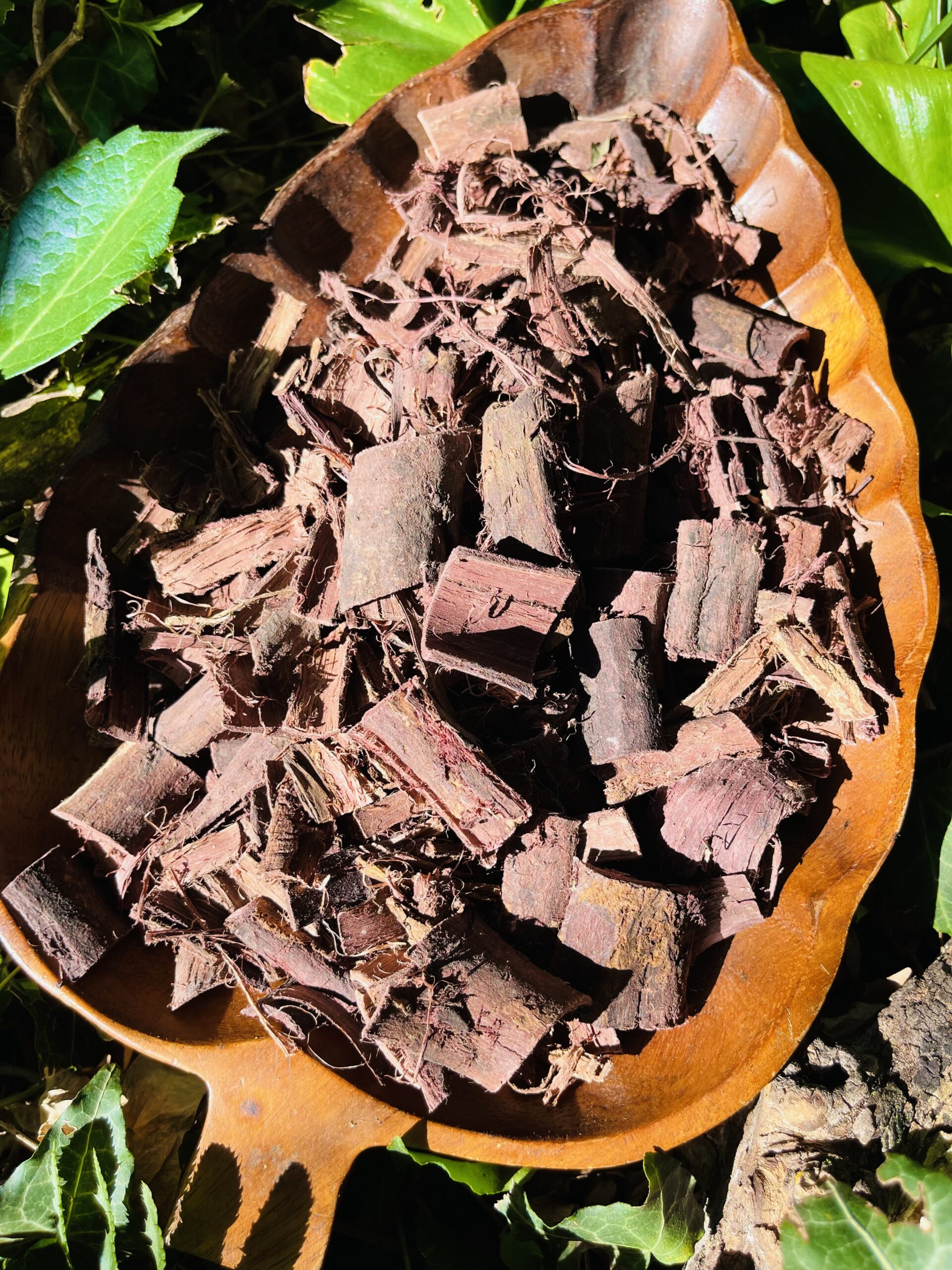 Mimosa Hostilis Root Bark Large Pieces Wild Harvested!* Eternity in a Box Botanicals