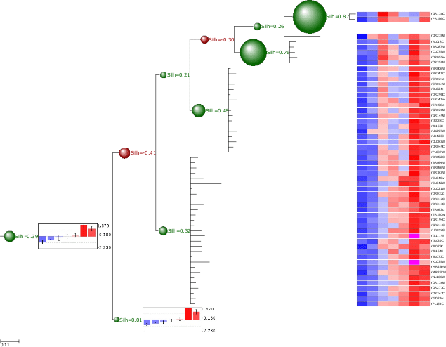 Tree Map In Python ETE Toolkit Gallery of images and examples