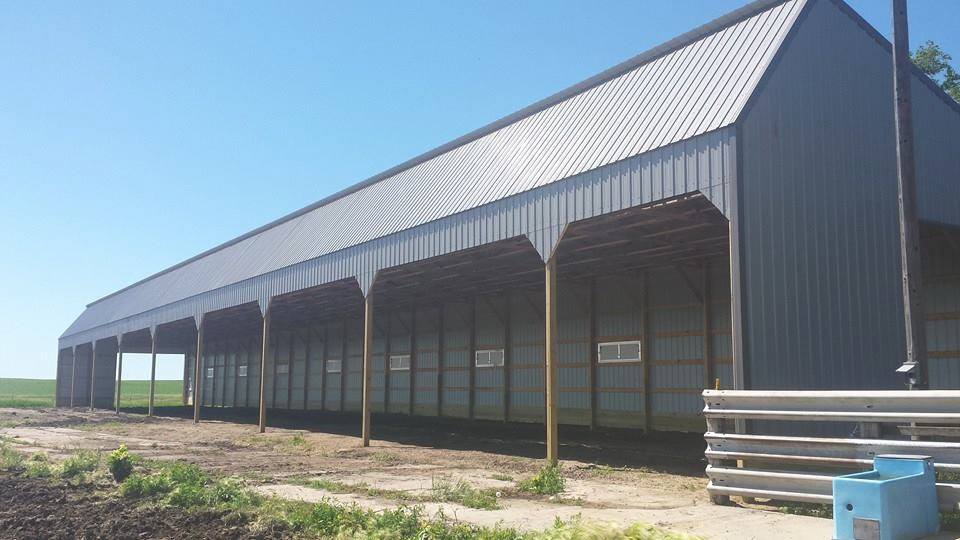 Cattle Feeding Barn Gallery Ethan Coop Lumber