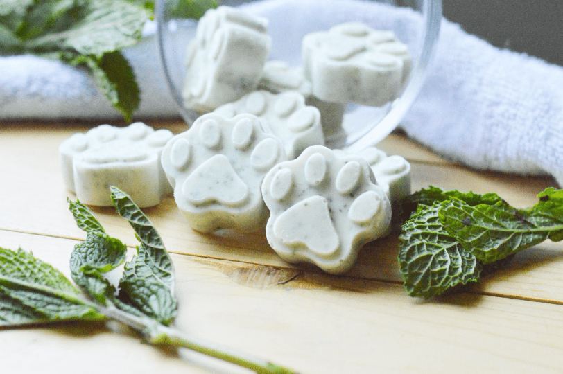 +44 Best Treats For A French Bulldog