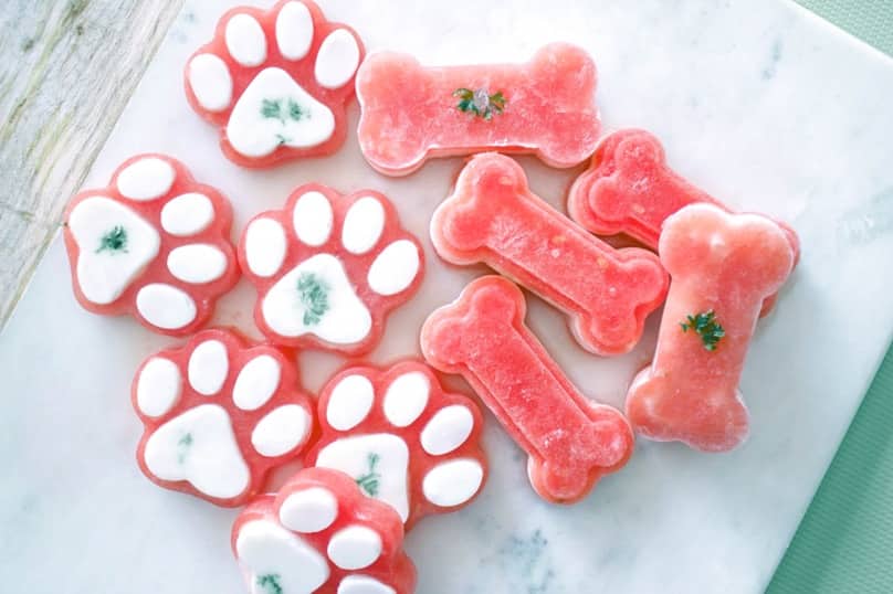 Top 5 DIY Summer Treats For Your French Bulldog Ethical Frenchie