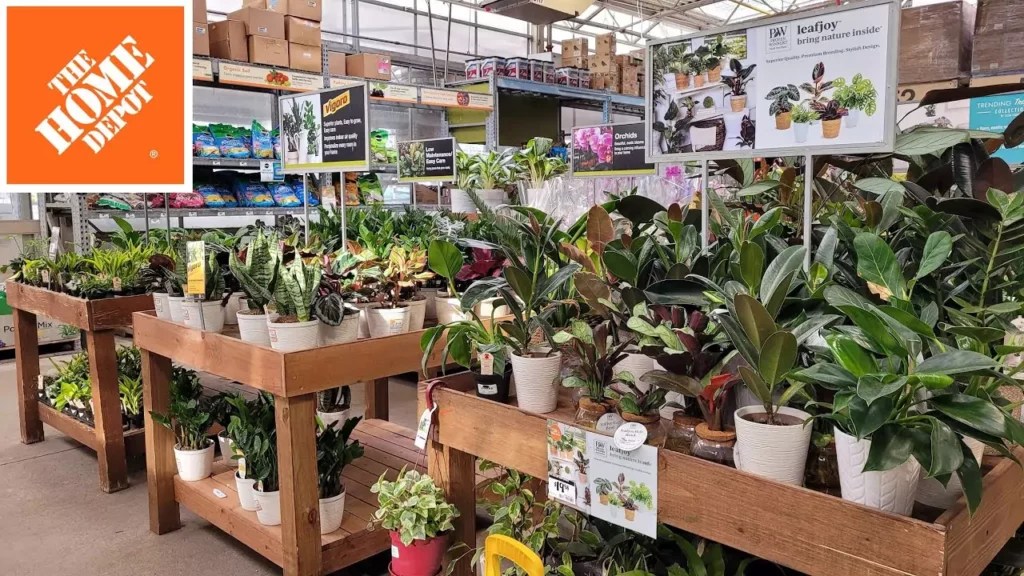 Home Depot’s Plant Return Policy [A Complete Guide for 2023]