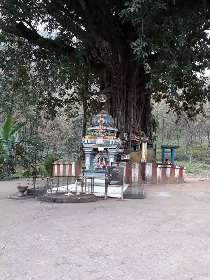 SRI ANGAALA PARAMESHWARI AMMAN DEWALAYA IN THUNNANA HANWELLA SRI LANKA