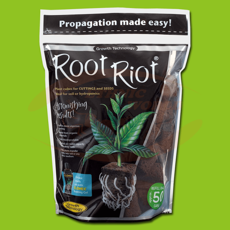 Root Riot Ethnic World
