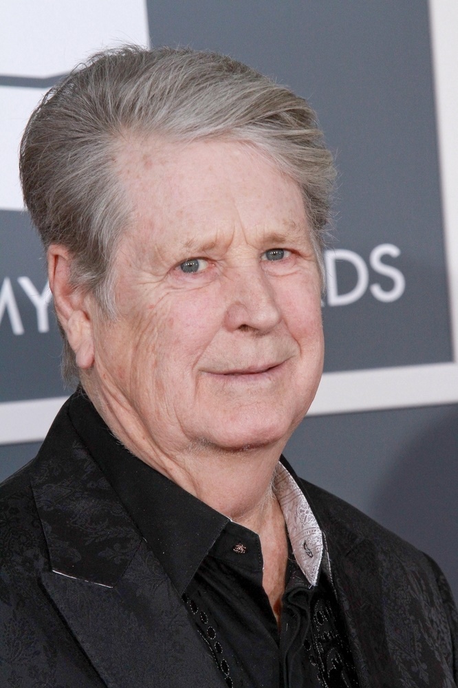 Brian Wilson Ethnicity of Celebs What Nationality Ancestry Race