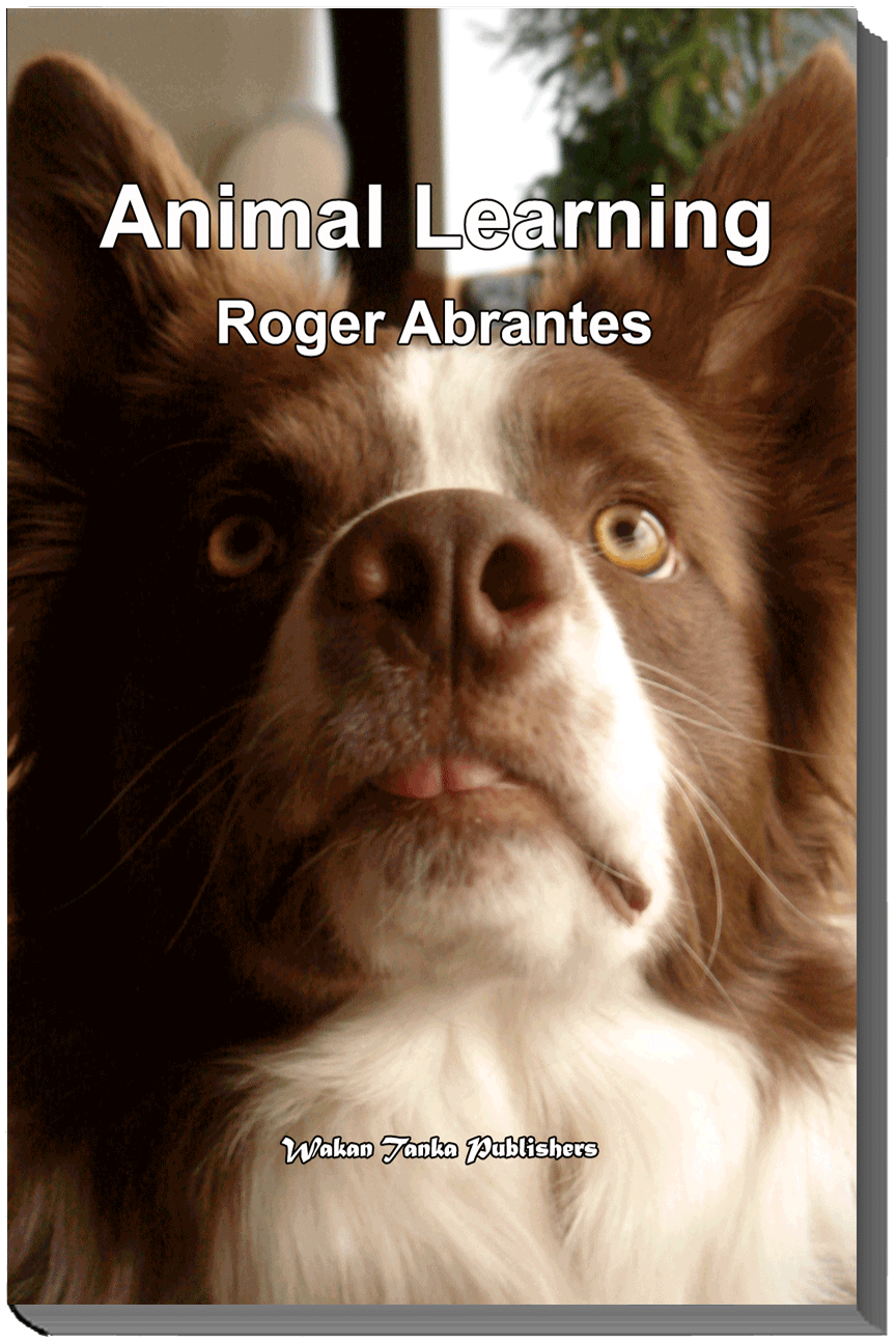 Ethology Institute Cambridge