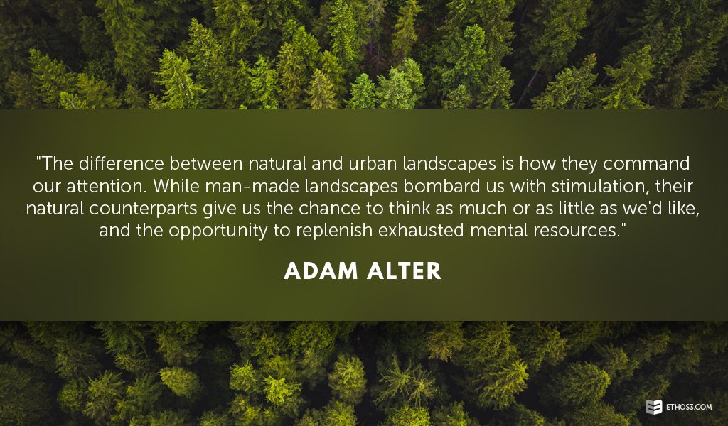 The Psychology of Natural Colors for Presentation Design