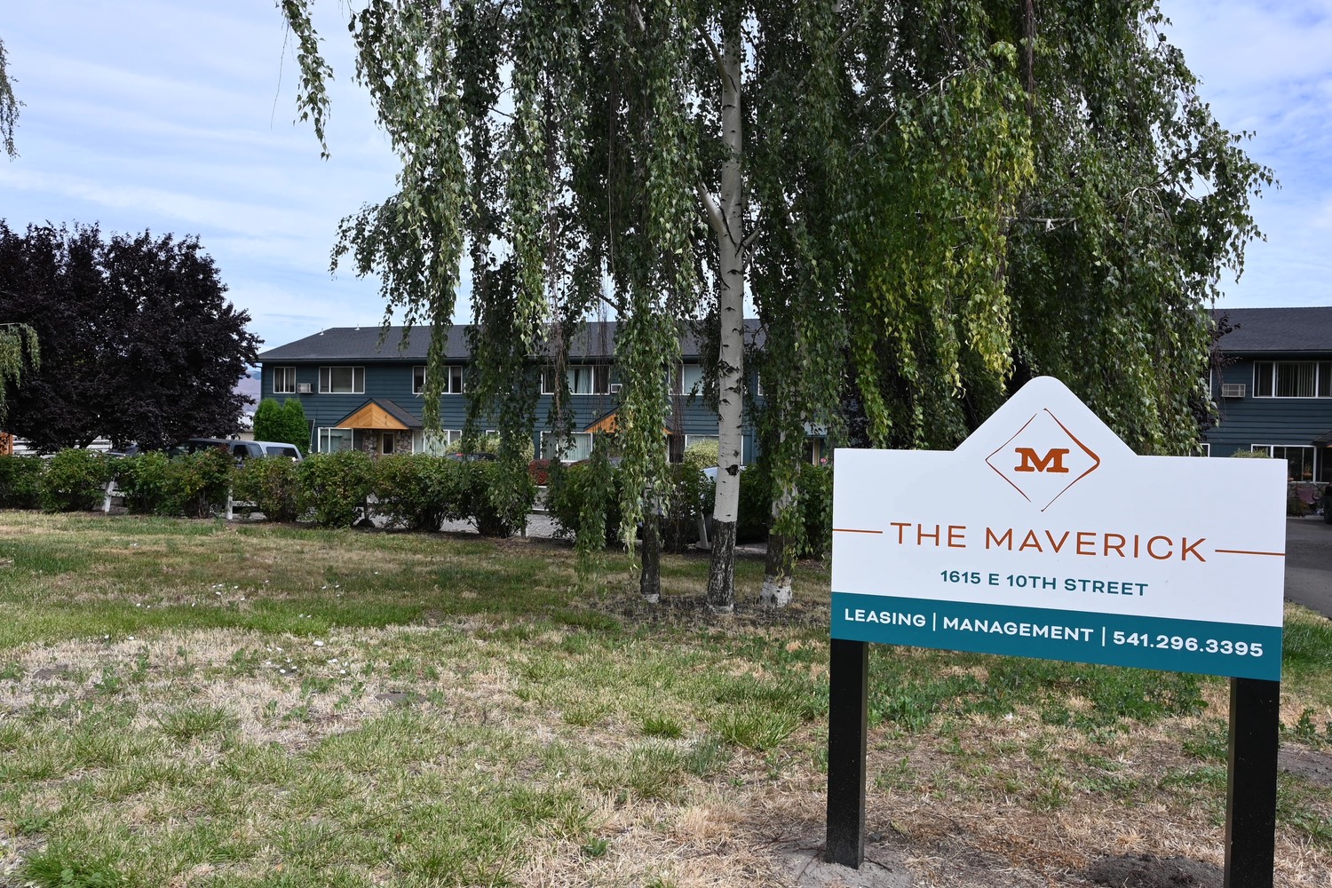 Ethos Development — The Maverick