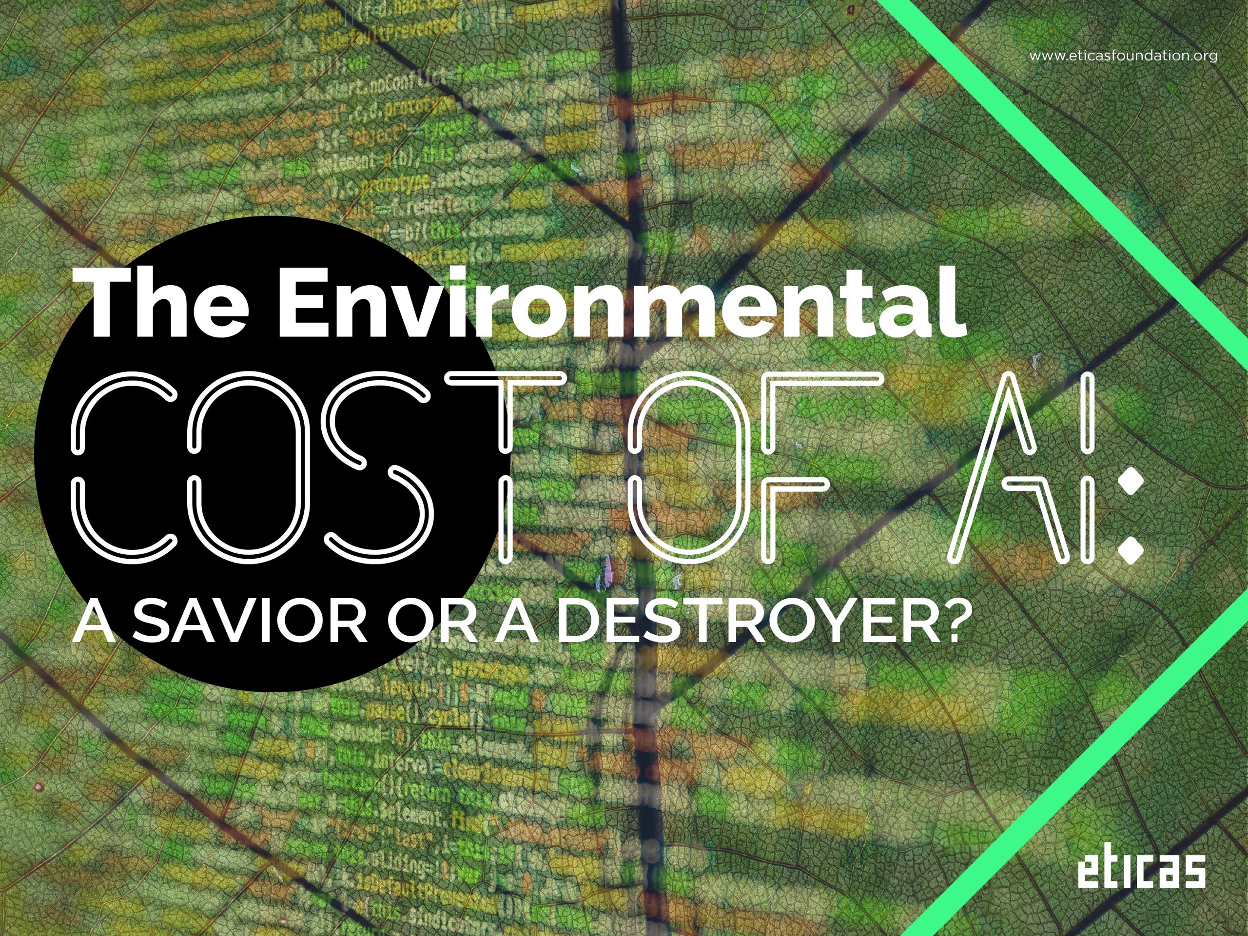 AI + Environment Eticas