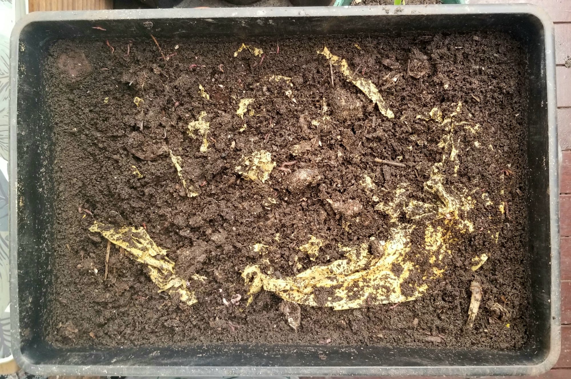 What happens when you bury compostable bags? etsus.co