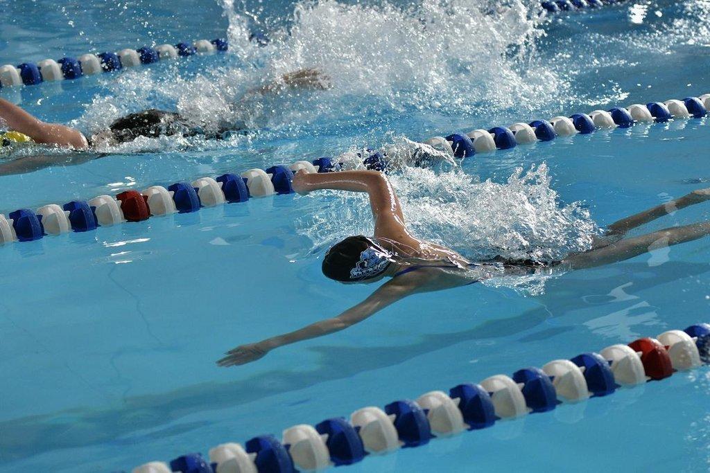 Lady Dino Swim Takes Region Title *Photo Gallery* ETV News