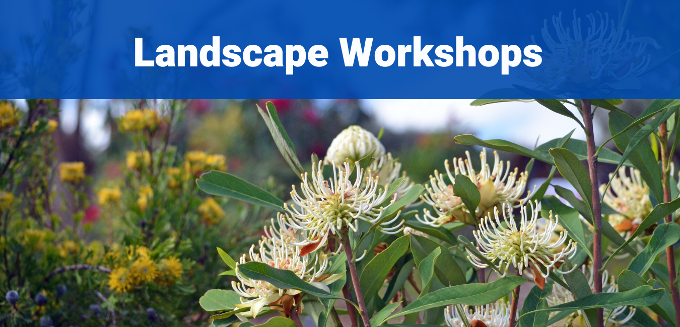 Landscape El Toro Water District