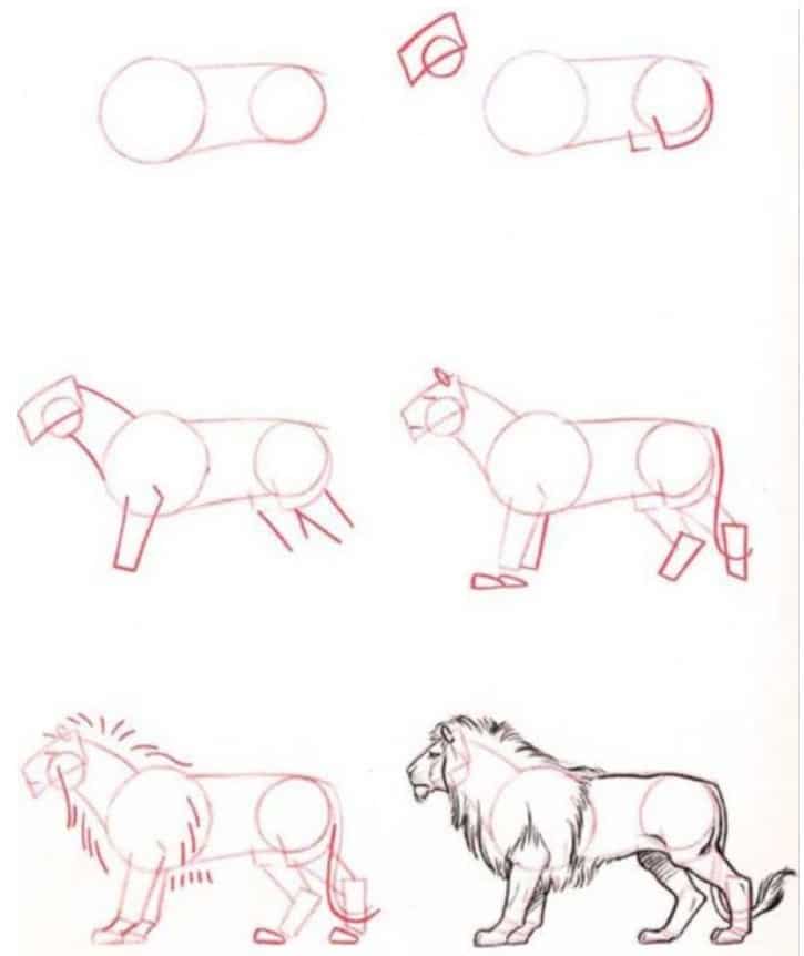 Faceis Ideias De Desenhos De Esbocos De Animais Eu Geek
