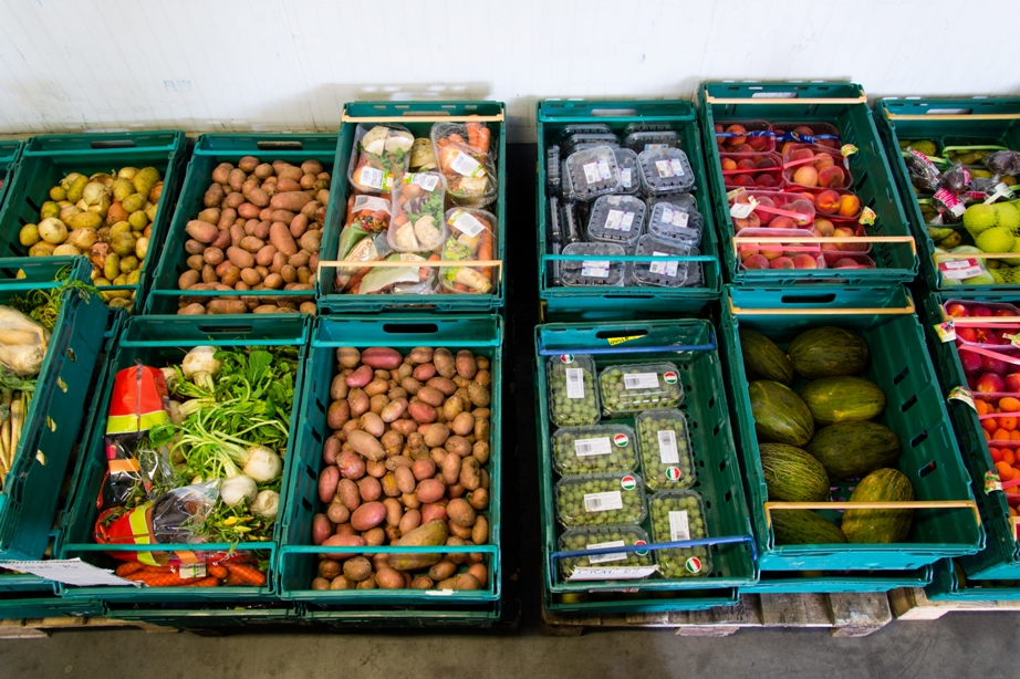 New TESCO Hungary food waste report released REFRESH