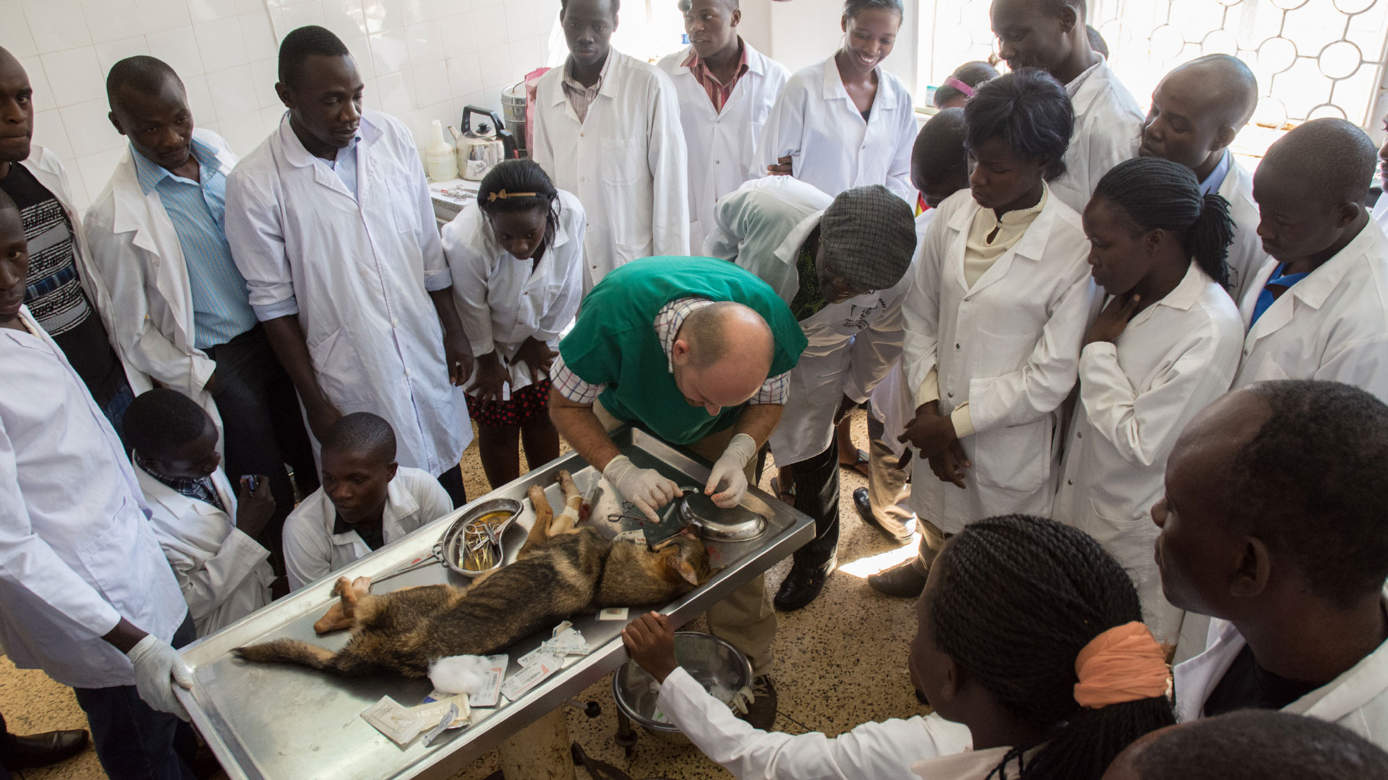 Discipling Veterinary Students in Uganda Africa Inland Mission (Europe)