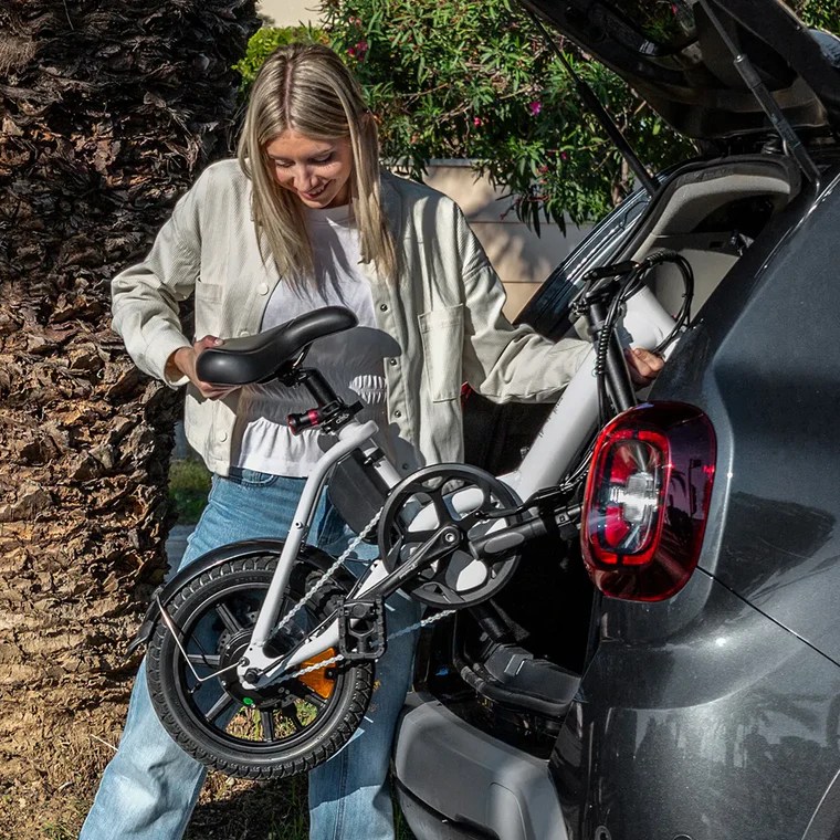 Fiido D3 Pro - Affordable Mini Ebike for City & Casual