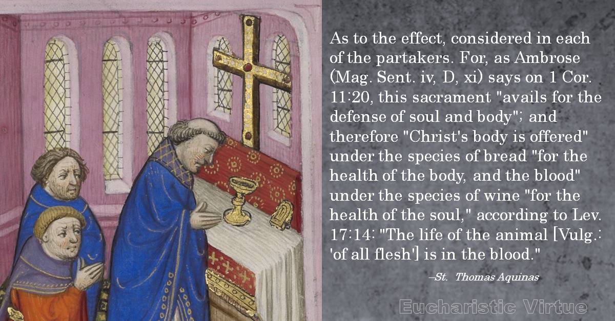 St. Thomas Aquinas Archives Eucharistic Virtue