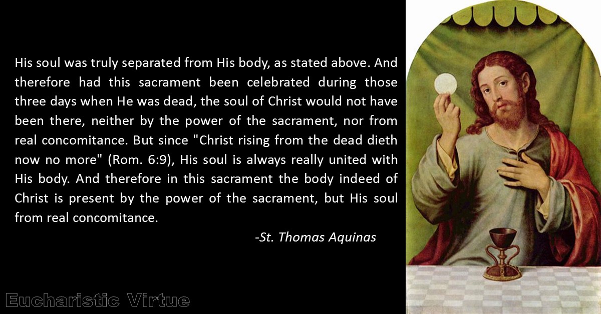 Daily Eucharist Quote St. Thomas Aquinas Eucharistic Virtue