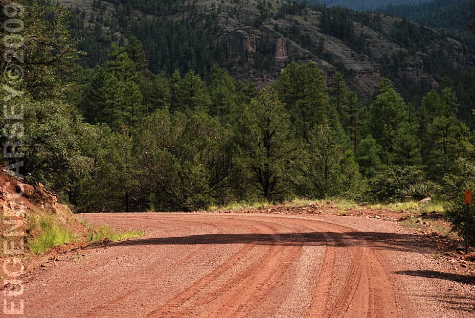 Free Campgrounds Upper Blue Campground in Apache National Forest