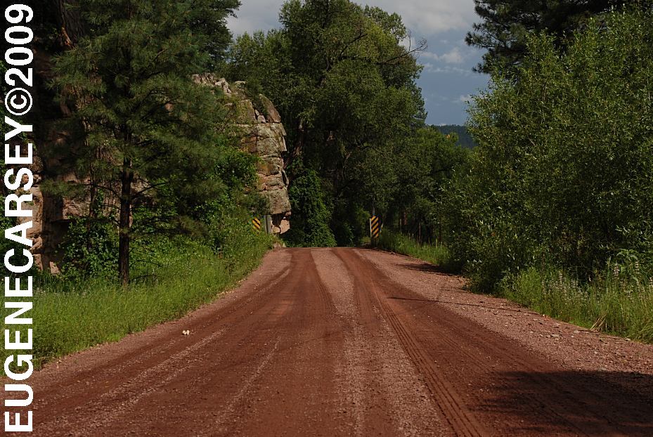 Free Campgrounds Upper Blue Campground in Apache National Forest