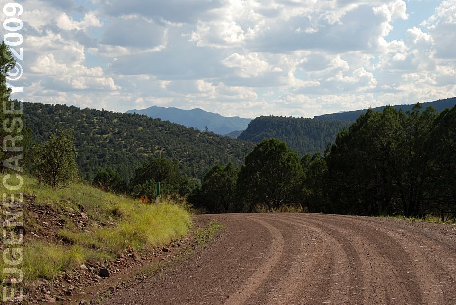 Free Campgrounds Upper Blue Campground in Apache National Forest