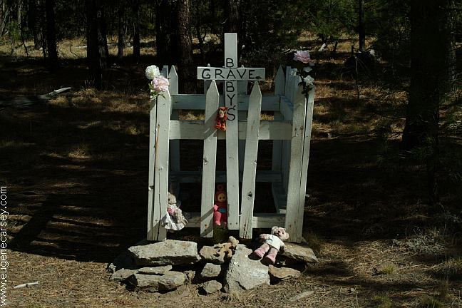 Free Campgrounds Buck Springs and Doe Springs Campground