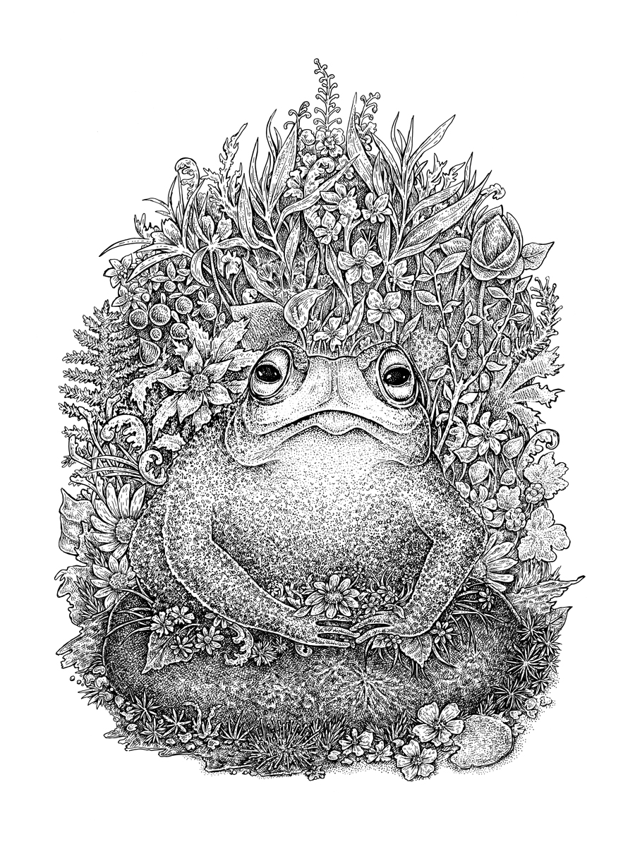 Introduction to Dotwork (Stippling) Technique in Ink Eugenia Hauss