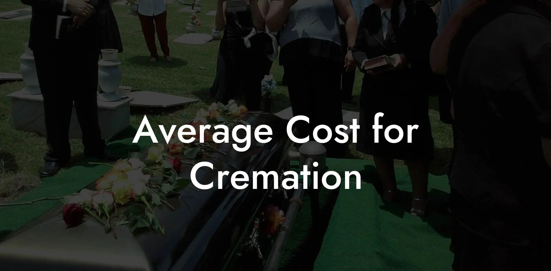 Average Cost for Cremation Eulogy Assistant