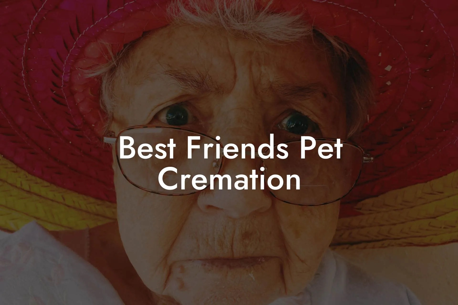 Best Friends Pet Cremation Eulogy Assistant