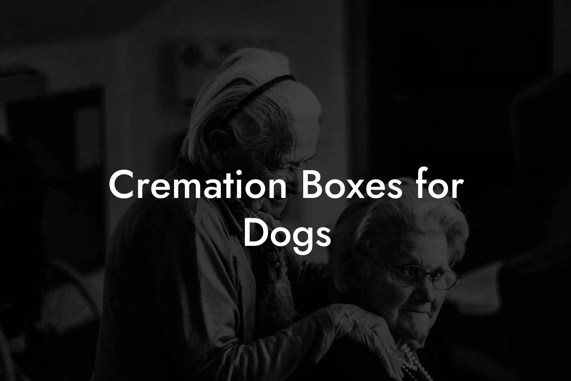 Cremation Boxes for Dogs Eulogy Assistant