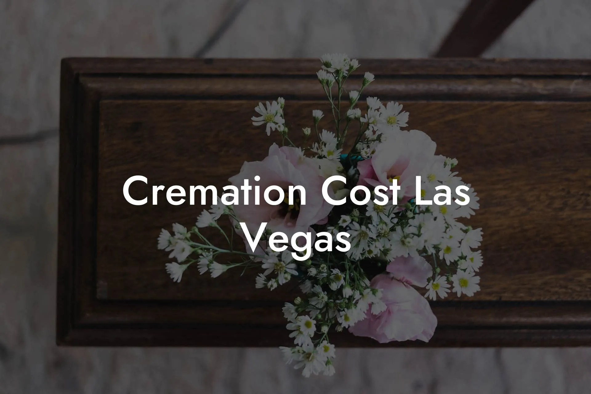 Cremation Cost Las Vegas Eulogy Assistant