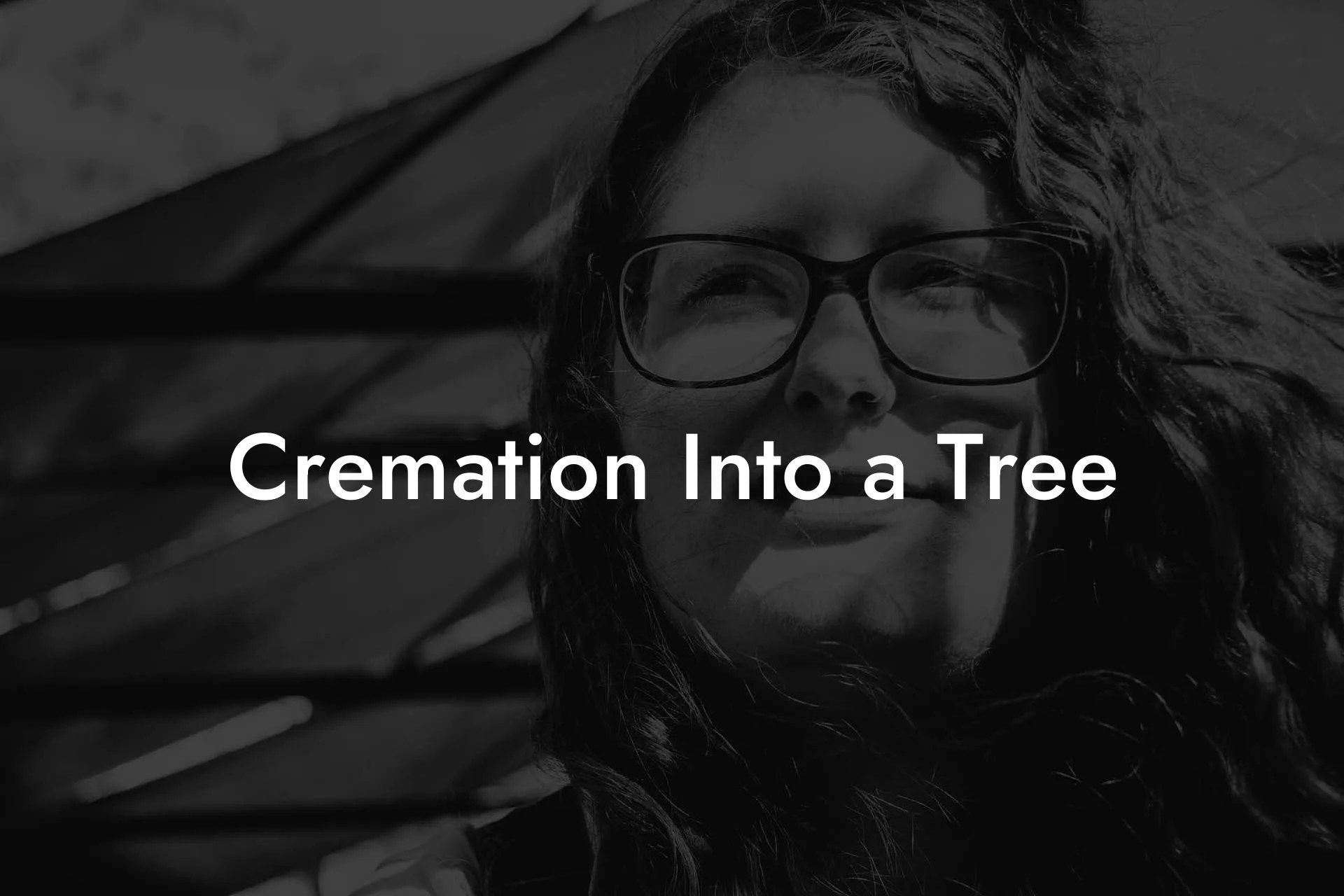 Cremation Into a Tree Eulogy Assistant