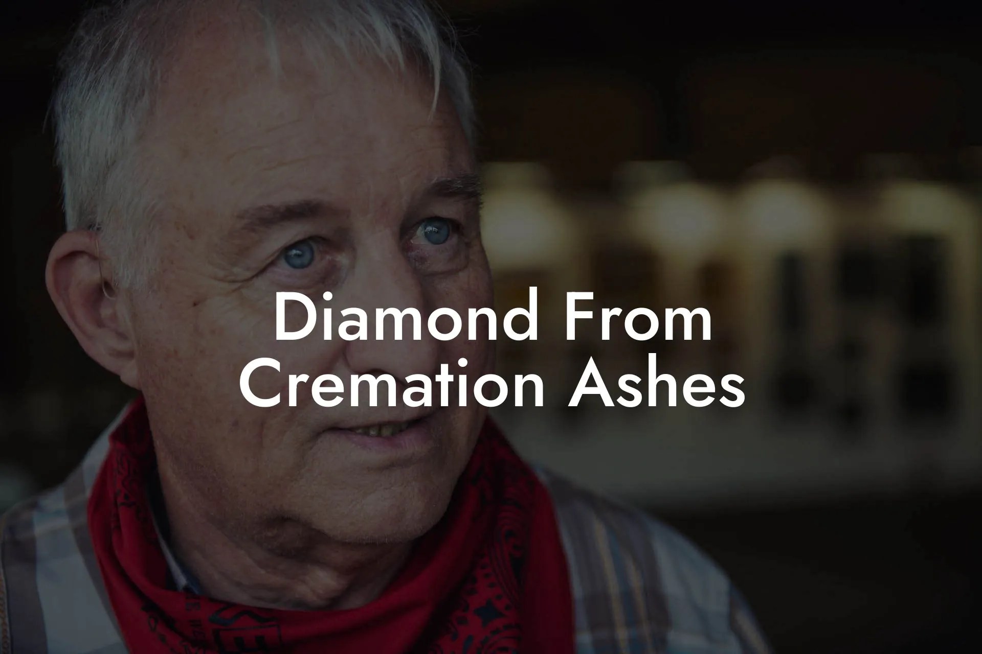 Diamond From Cremation Ashes Eulogy Assistant