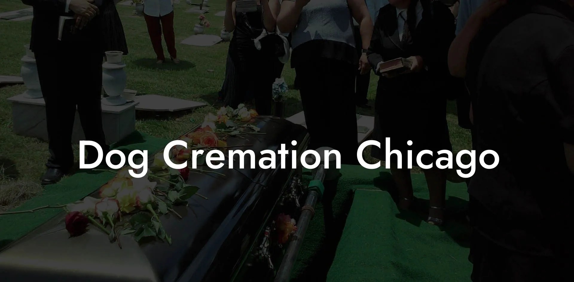 Dog Cremation Chicago Eulogy Assistant