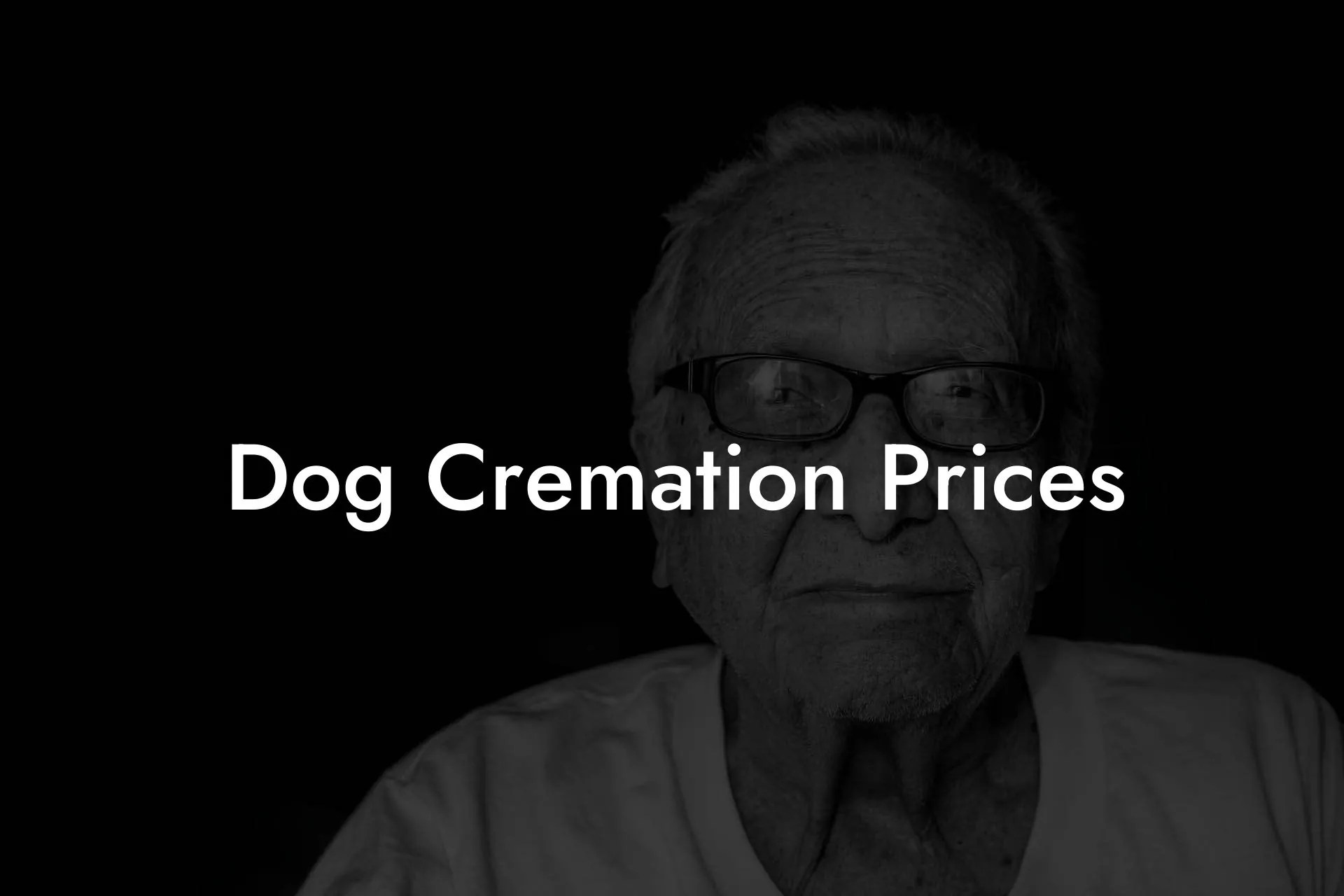 Dog Cremation Prices Eulogy Assistant
