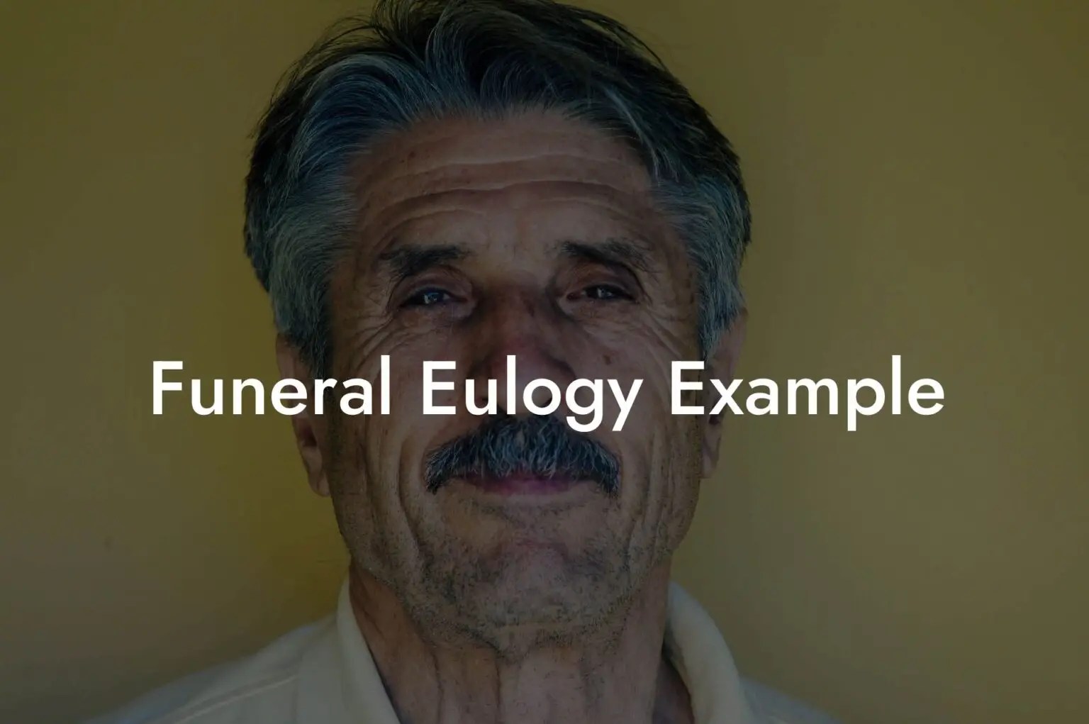 Funeral Eulogy Example Eulogy Assistant