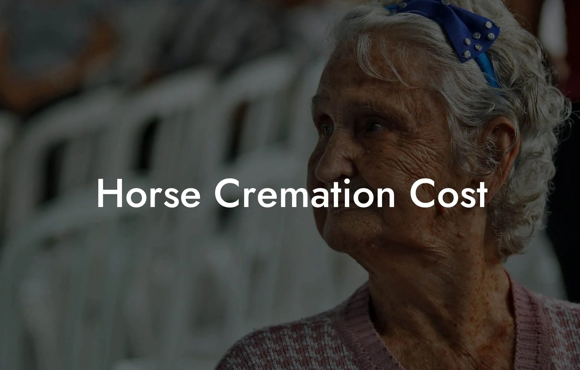 Horse Cremation Cost Eulogy Assistant